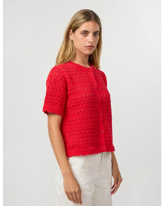 Stella + Gemma Celeste Knit - Scarlett