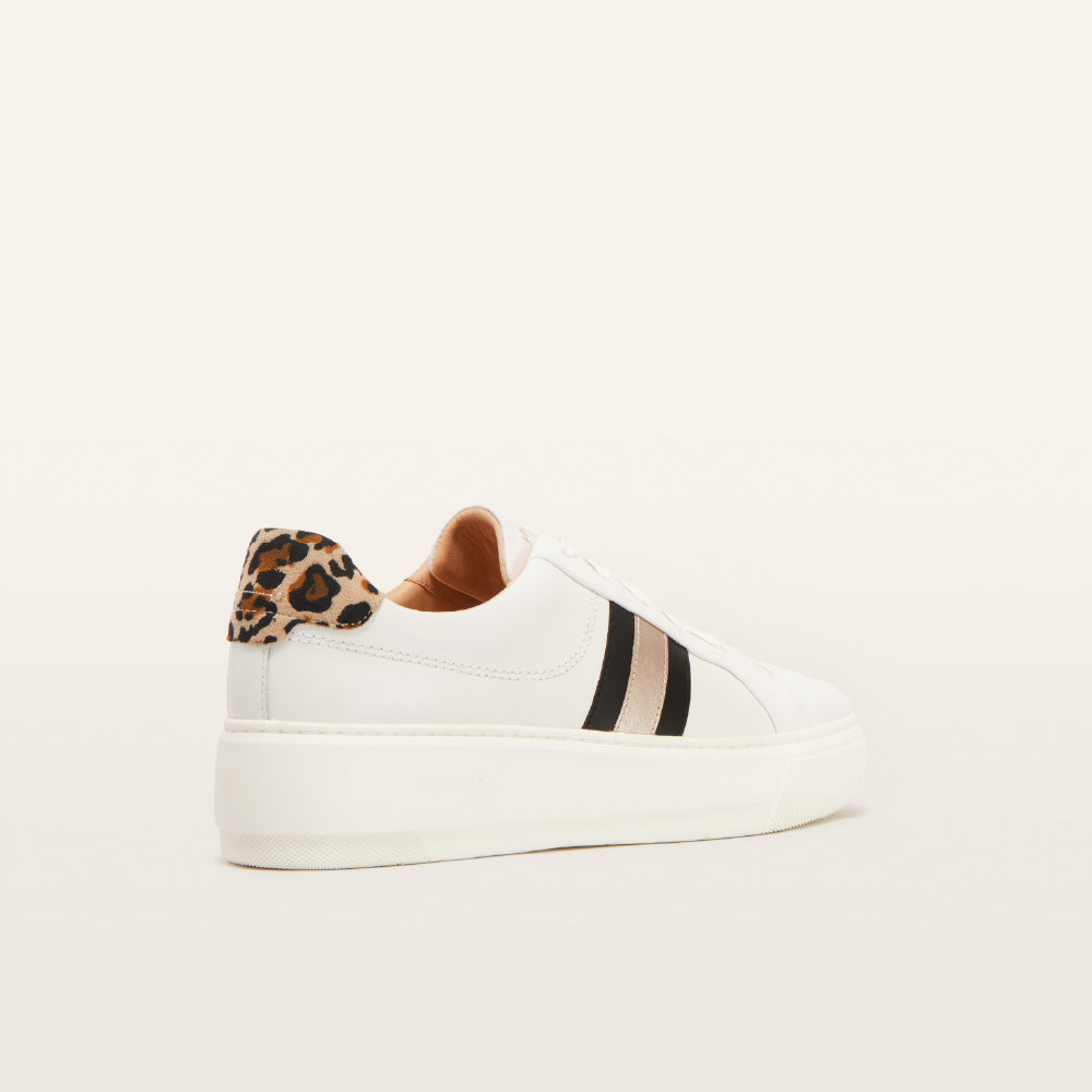 Frankie4 Riley Sneaker -