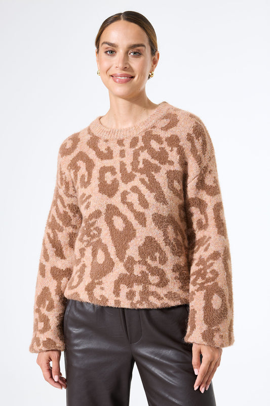 Garcia Printed Sweater - Teddy Bear